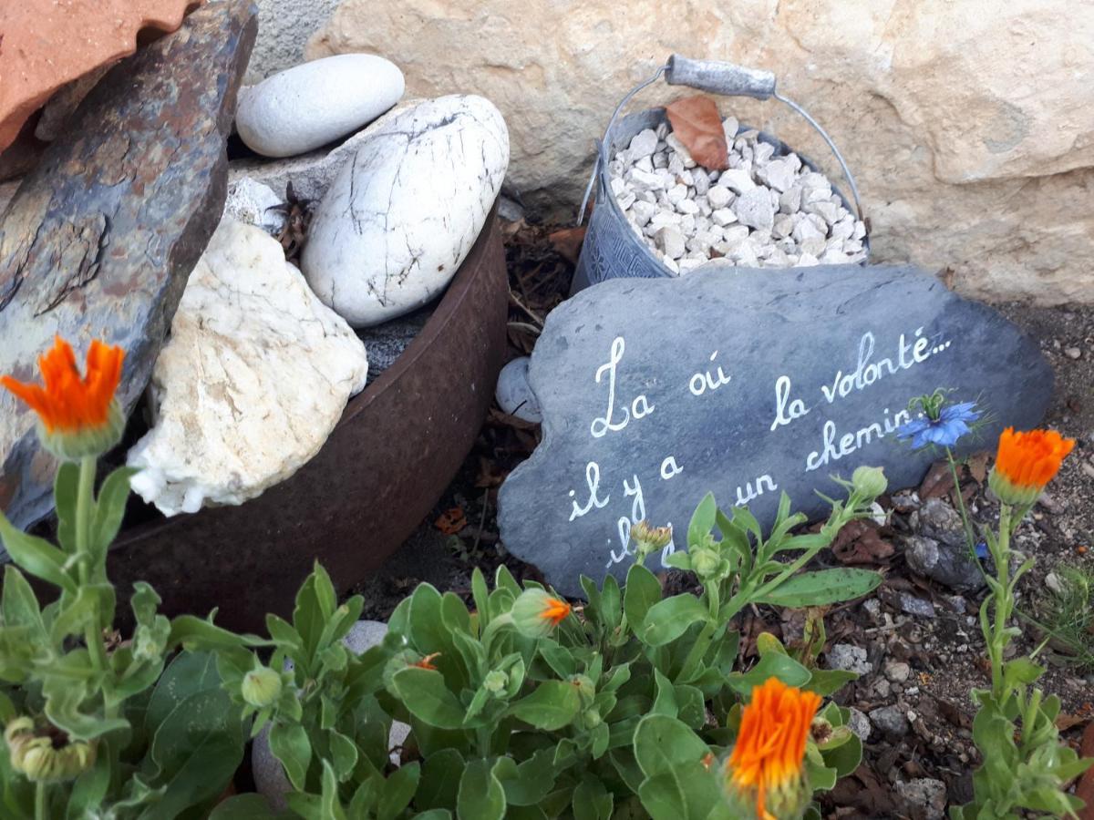 L'Orme-Vial Bed and Breakfast Saint-Galmier Eksteriør billede