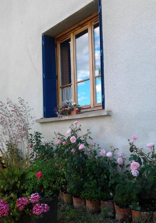 L'Orme-Vial Bed and Breakfast Saint-Galmier Eksteriør billede